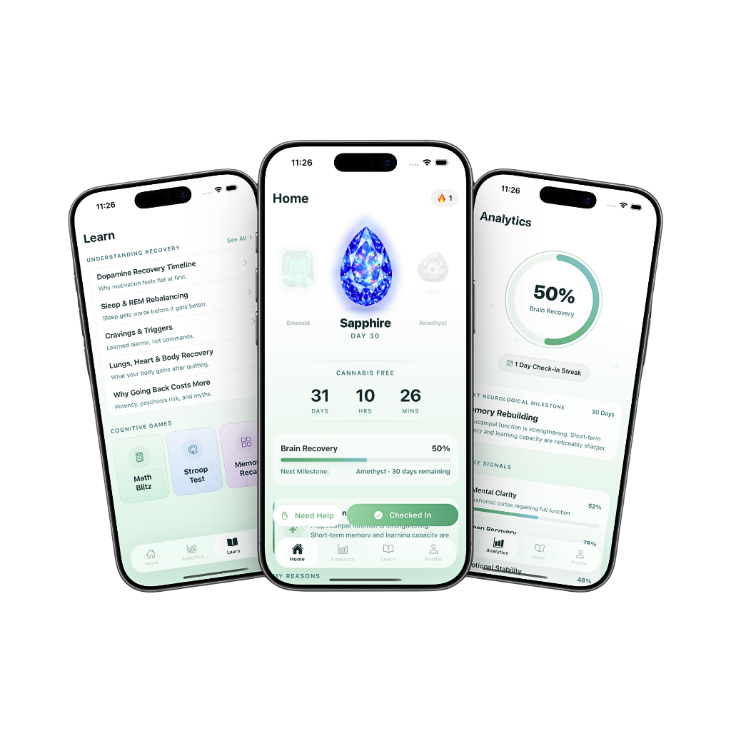 Aurora App Interface Preview Desktop/Mobile