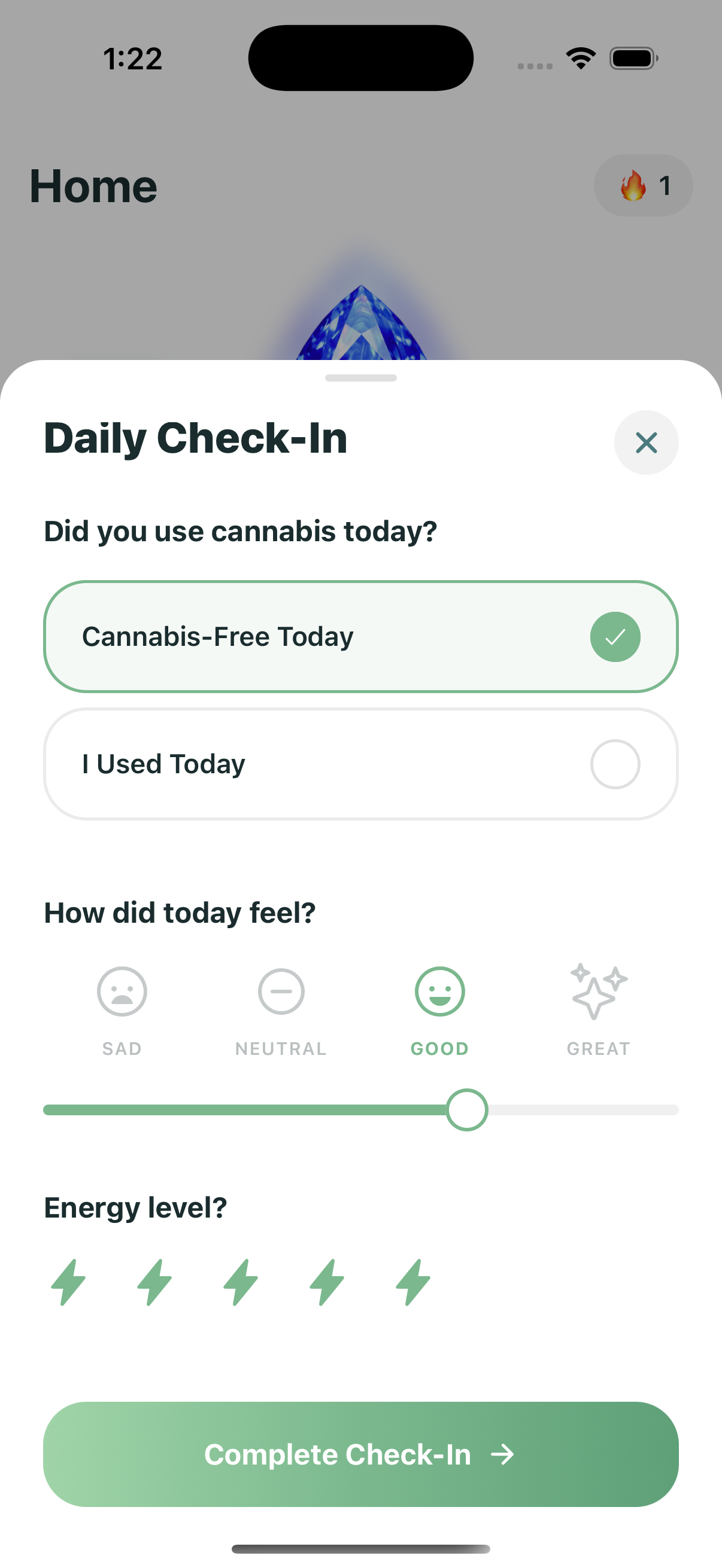 Daily Check-in Screen